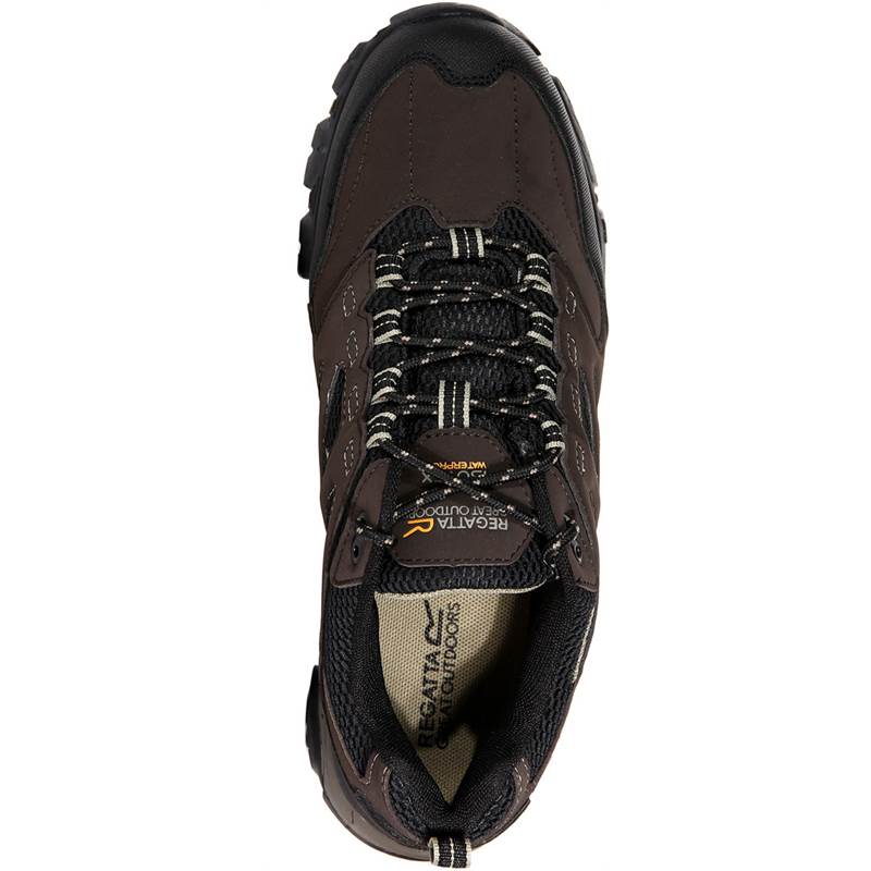 Regatta Mens Holcombe IEP Low Walking Shoes-3
