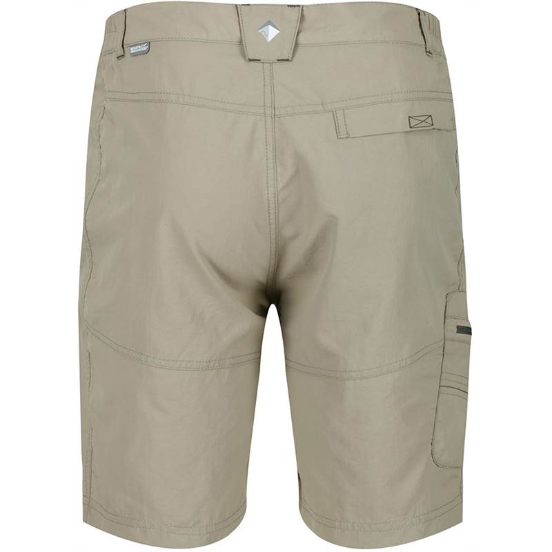 Regatta Mens Leesville II Walking Shorts-2