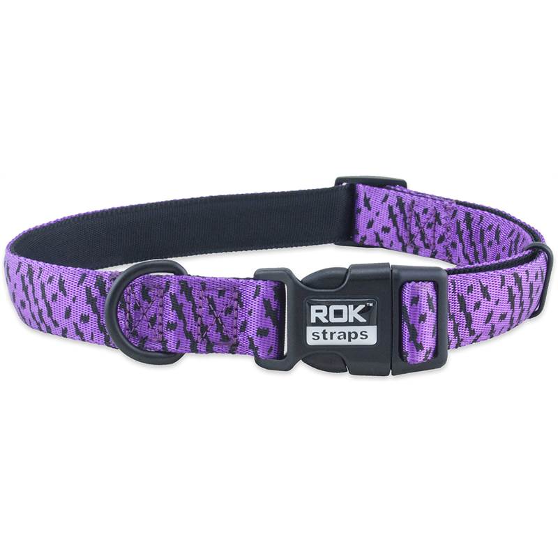Rok Straps Small Dog Collar-1