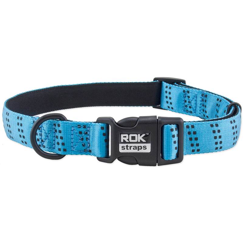 Rok Straps Small Dog Collar-4