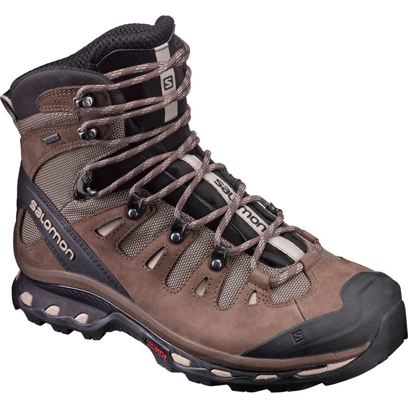 Salomon Quest 4D 2 GTX Mens Hiking Boots-1