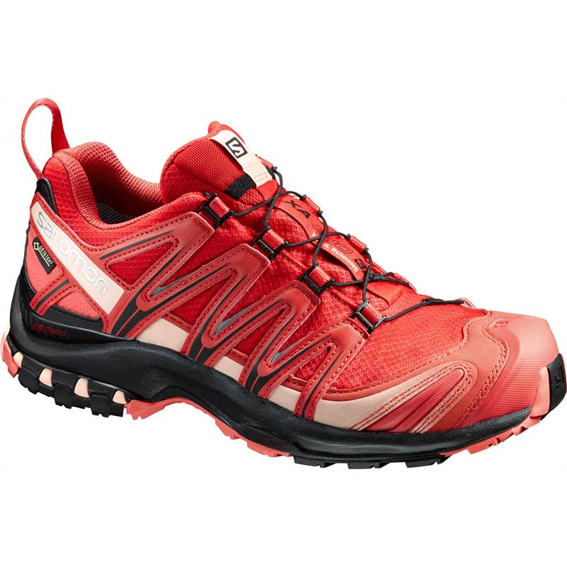 Salomon XA Pro 3D GTX Womens Trail Running Shoes NEW-1