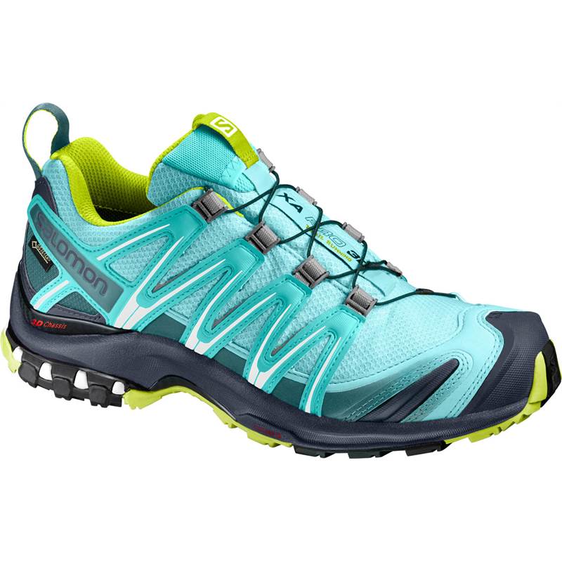 Salomon XA Pro 3D GTX Womens Trail Running Shoes NEW-5